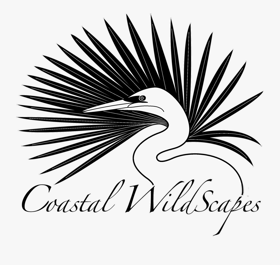 Oyster Clipart Black And White, Transparent Clipart