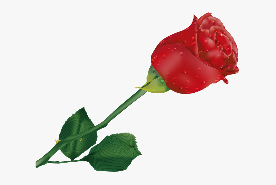 Transparent Single Rose Clipart - Vector Flower Png Free, Transparent Clipart