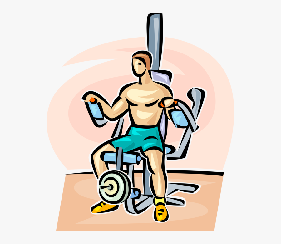 Muscles Clipart Strength Training - Illustration, Transparent Clipart
