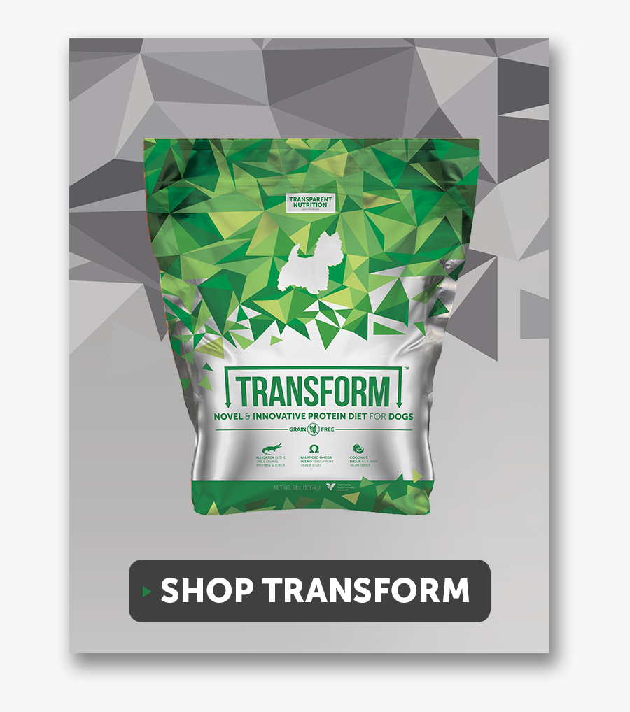 Poster, Transparent Clipart