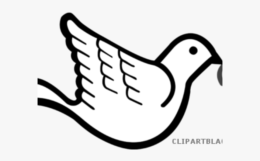 Dove With Olive Branch Clipart , Png Download - Dove With Olive Branch, Transparent Clipart