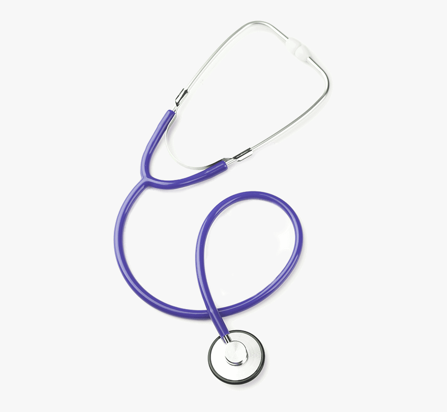 Circle, Transparent Clipart