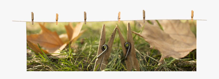 Transparent Clothespin Png - Grass, Transparent Clipart
