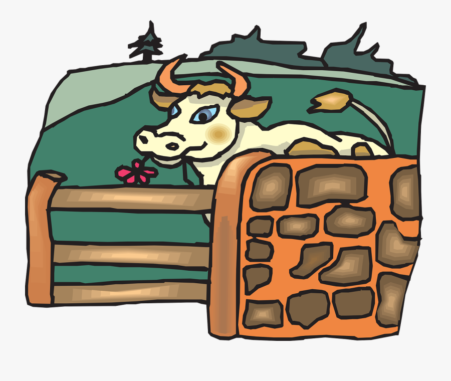 Cow, Fence, Grazing, Graze, Cartoon, Farm, Animal - รูป การ เลี้ยง วัว การ์ตูน, Transparent Clipart