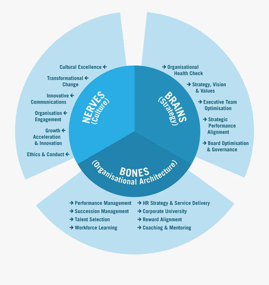 Working Capital Strategies Paper Working Capital Strategies - Circle, Transparent Clipart