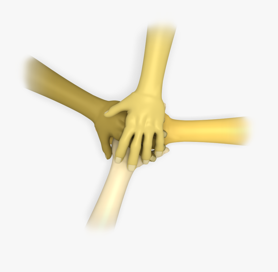 Picture - Bone, Transparent Clipart