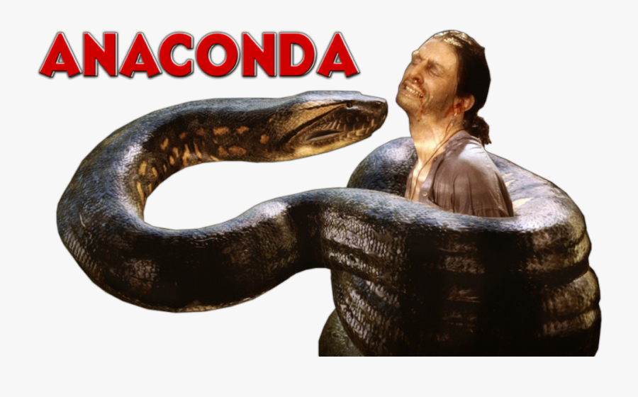 Png Anaconda, Transparent Clipart