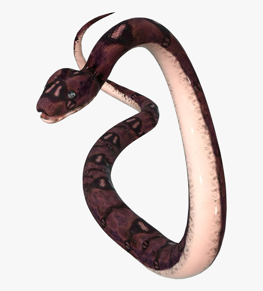 Anaconda Png Transparent Images - Serpent, Transparent Clipart