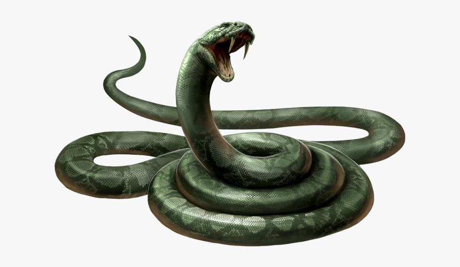 Nagini Harry Potter Snake, Transparent Clipart
