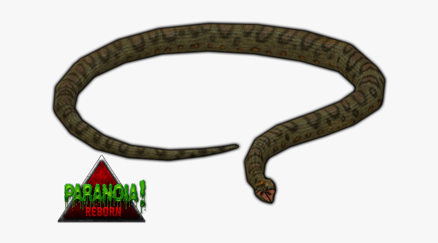 Zt2 Green Anaconda, Transparent Clipart