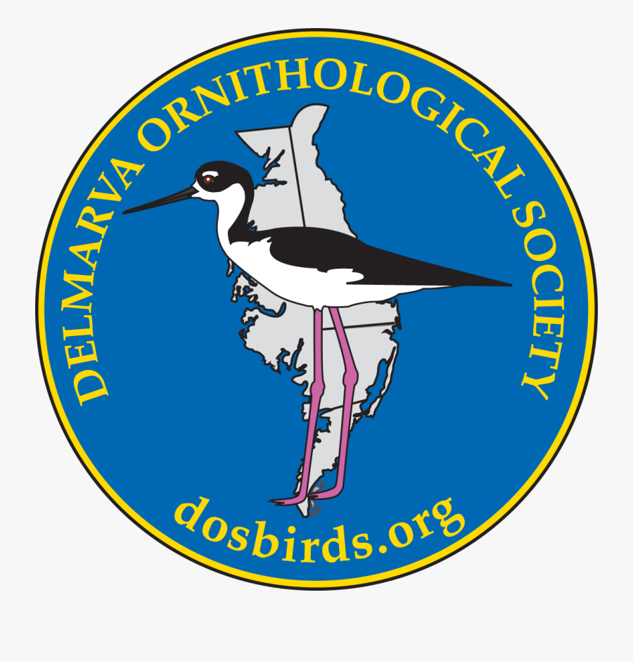 Senate Seal, Transparent Clipart