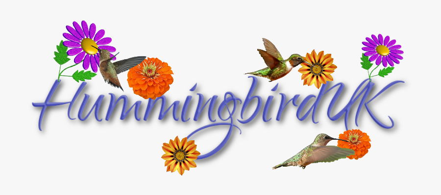 Cartoon Flower, Transparent Clipart