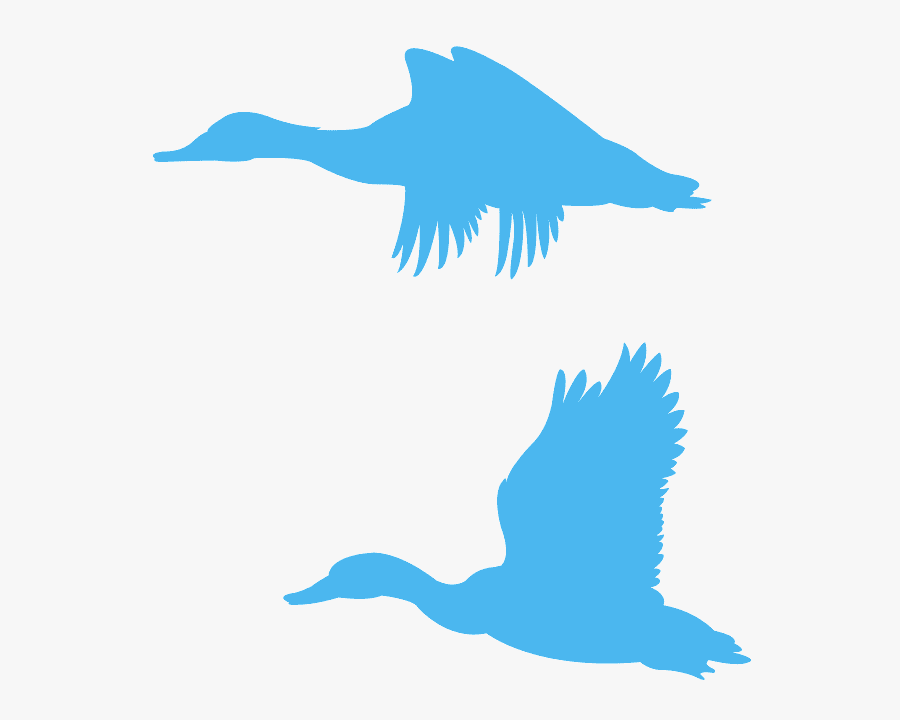 Orange Flying Duck Clipart, Transparent Clipart