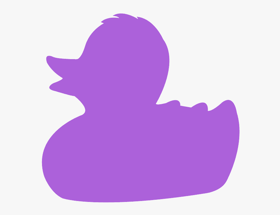 Duck, Transparent Clipart