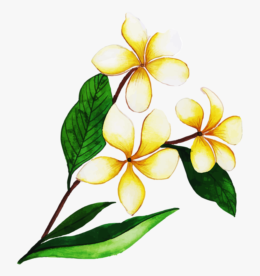 Free Clipart Bouquet Of Flowers, Transparent Clipart