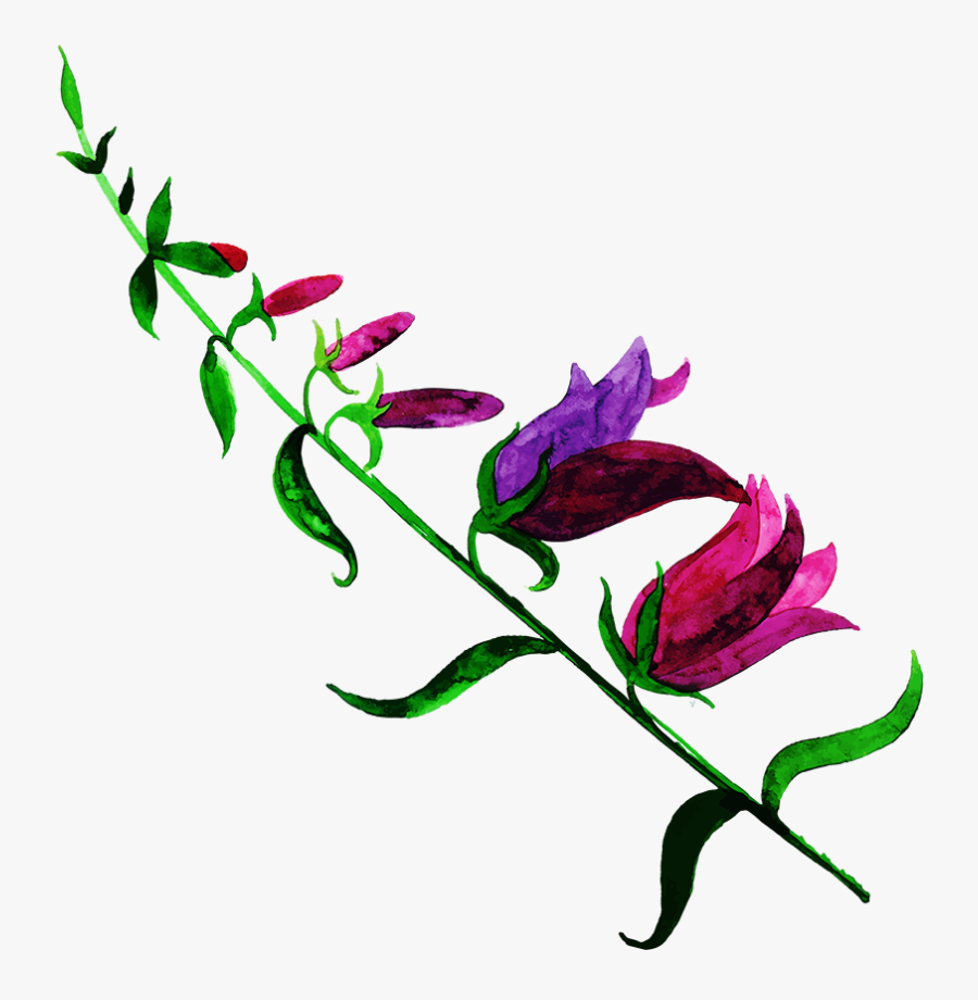 Transparent Png Flowers Images - Lily Family, Transparent Clipart