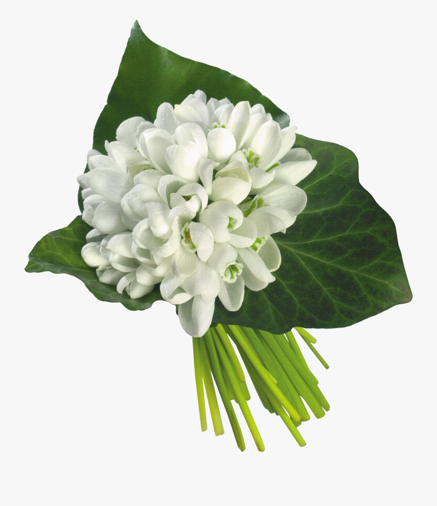 White Flowers Bouquet Png - White Snowdrop Flowers Bouquet, Transparent Clipart