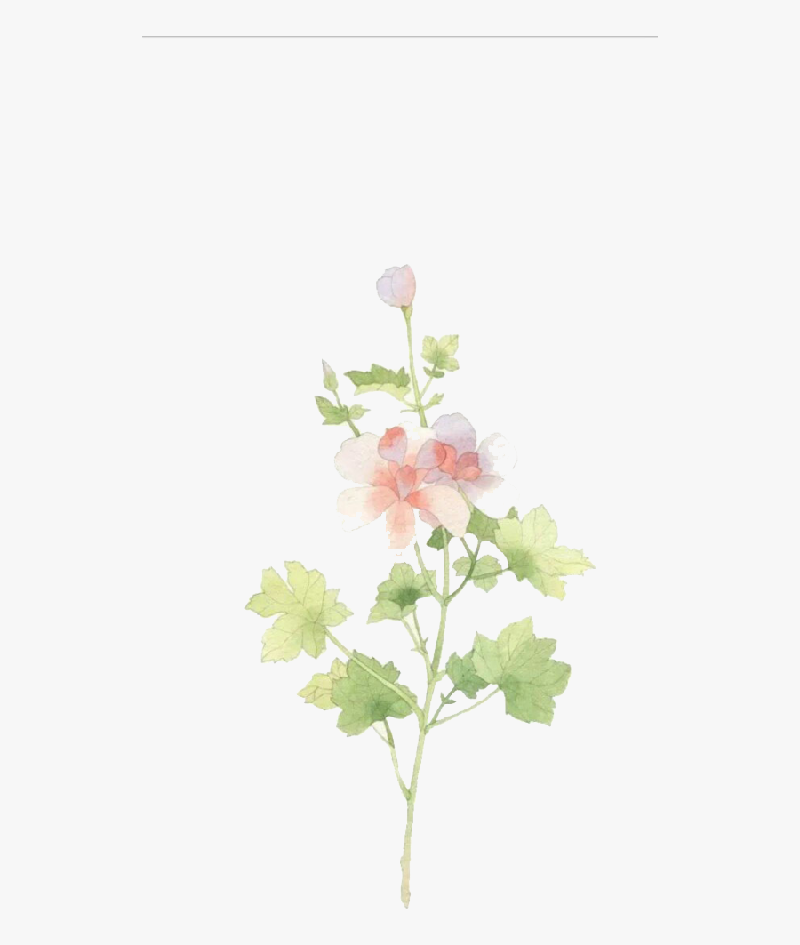 Clip Art S Hand Painted Winter - Still Life Photography, Transparent Clipart