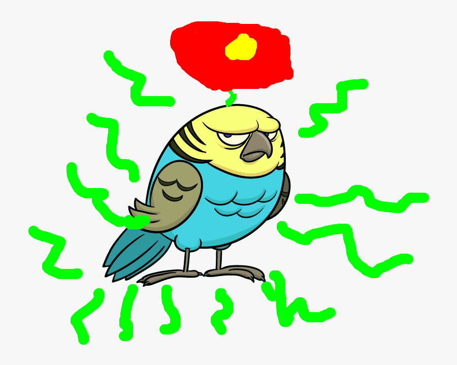 Tropical Bird - Turkey - Turkey, Transparent Clipart