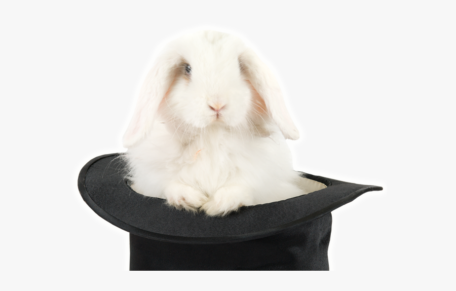 Clip Art Magicians Bunny - Magic Rabbit Png, Transparent Clipart