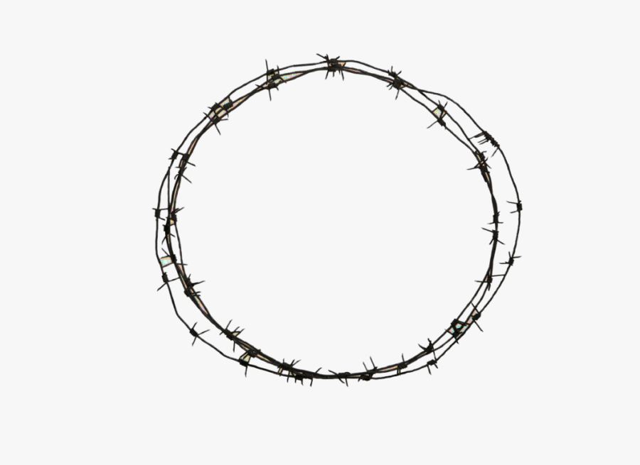 Get Transparent Background White Circle Png Pics