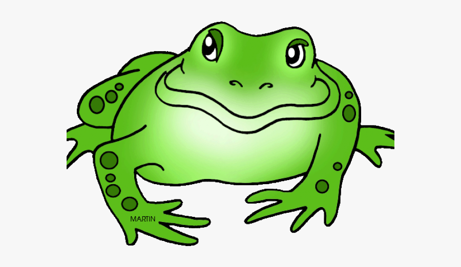 Amphibian Drawing Clip Art - Clipart Amphibian, Transparent Clipart