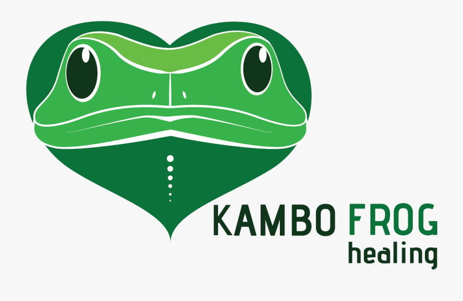 History Science Of Kambo - Frog Dmt Kambo Transparent, Transparent Clipart