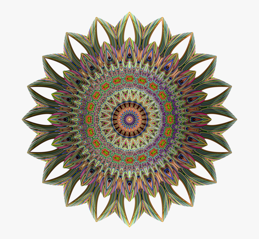 Circle,flower,symmetry - Biglietti Musei Firenze, Transparent Clipart