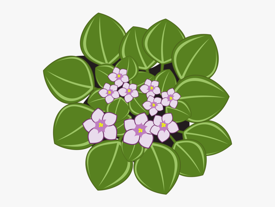 African Violet Flower Clipart Png, Transparent Clipart