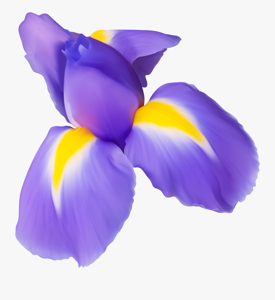 Purple Flower Png Clip - Iris Flower Clip Art, Transparent Clipart