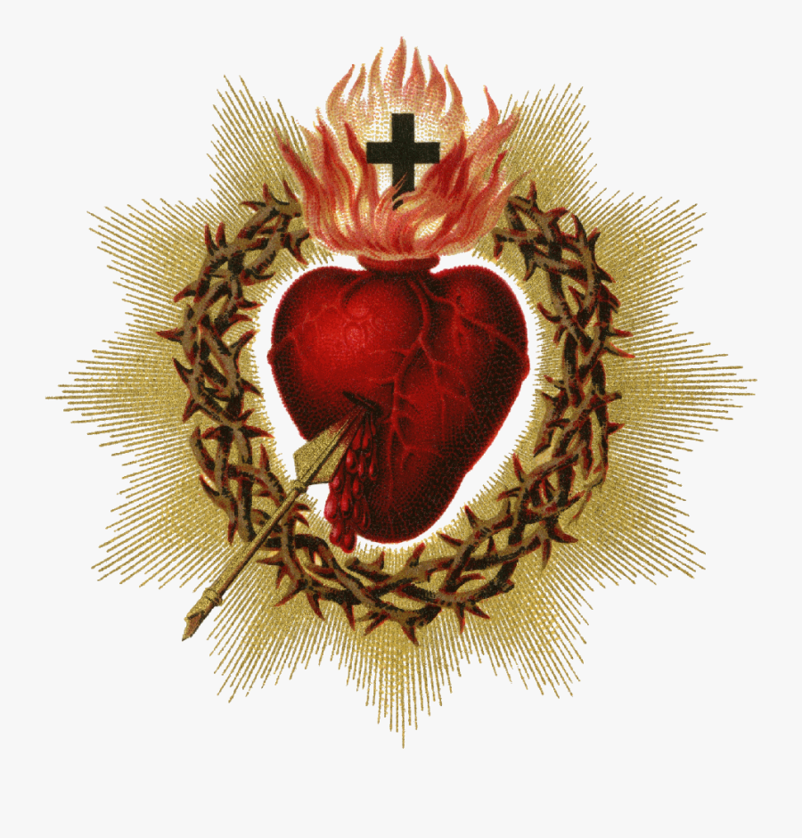 Sacred Heart Pictures - Sacred Heart Of Jesus Png, Transparent Clipart