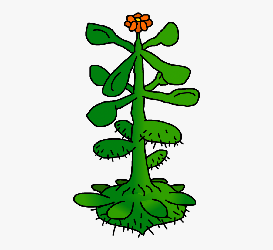 Cactus In A Candy Shop Clipart , Png Download, Transparent Clipart