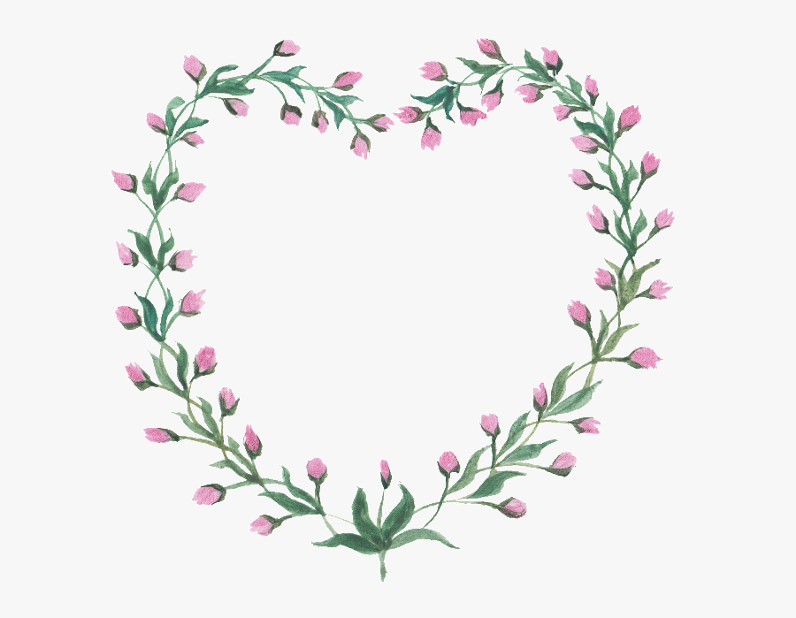 Gilliflower, Transparent Clipart
