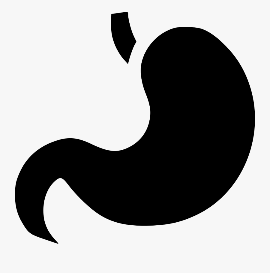 Digestion Stomach Getroenterology Organ Healthcare, Transparent Clipart