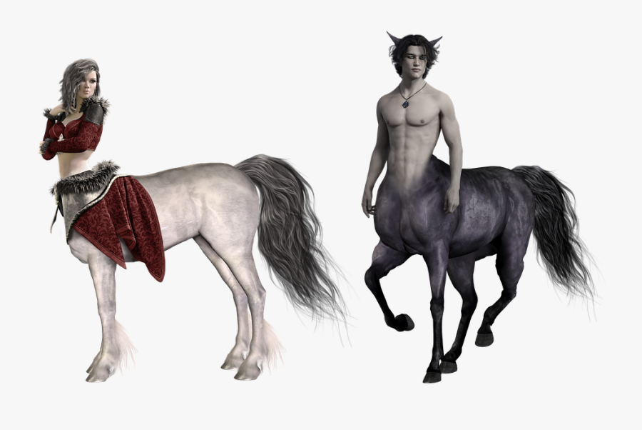 Female Centaur Png Transparent Images - Centaur Transparent Background, Transparent Clipart