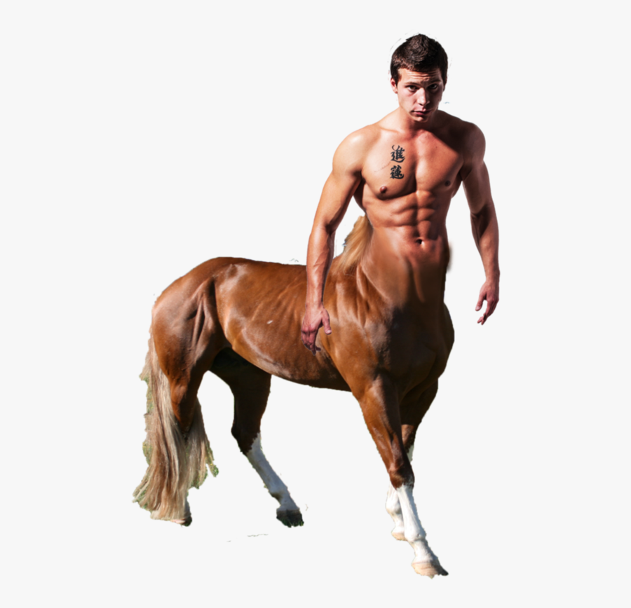 Centaur Png, Transparent Clipart