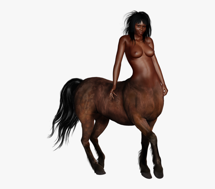 Female Centaur Png Transparent Images - Woman Centaur, Transparent Clipart
