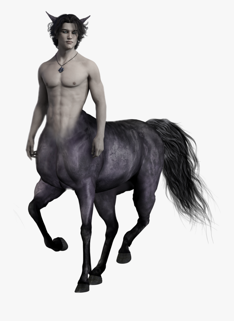 #centaur #man #horse #fantasy #character - Centaur Png, Transparent Clipart