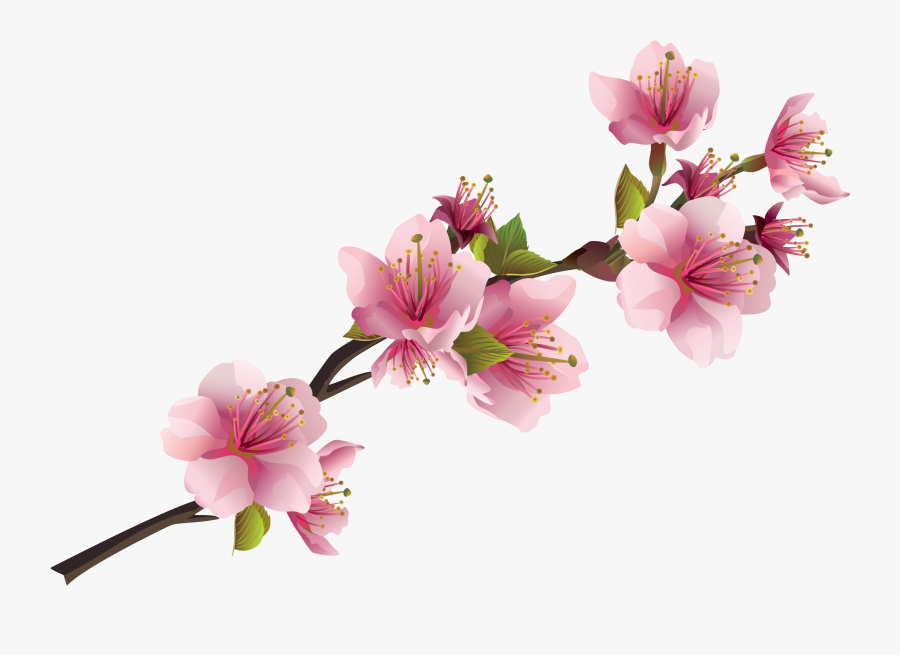 Sakura Pink Flowers Png Free Images - Transparent Pink Flower Png, Transparent Clipart