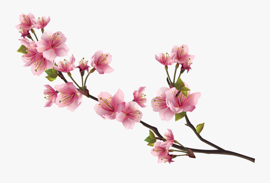 Sakura Pink Flowers Png, Transparent Clipart