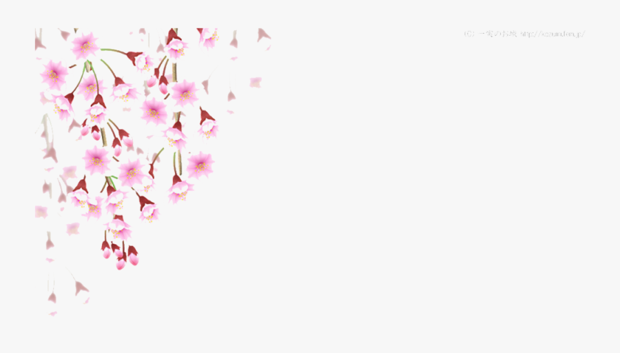 Cherry Blossom Leaves Falling Png, Transparent Clipart