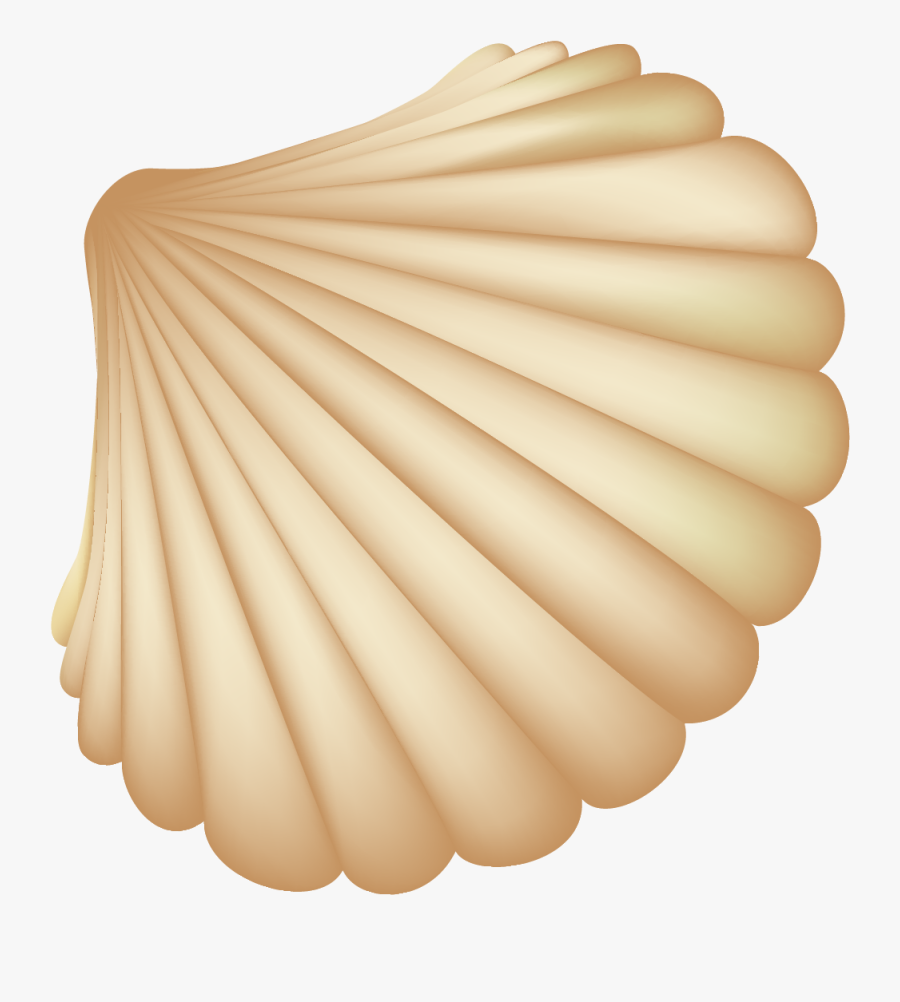 Seashell Computer File - Dibujos Conchas De Mar, Transparent Clipart