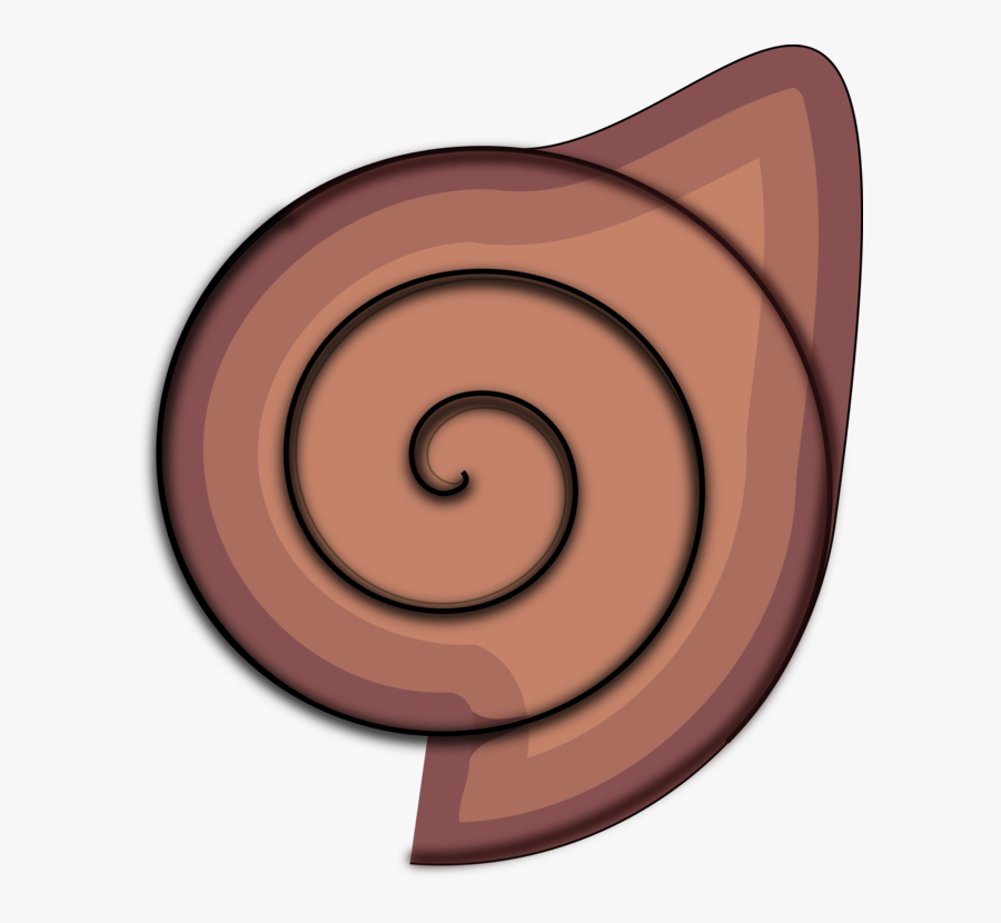 Nautilida,brown,ear - Molluscs Clipart, Transparent Clipart