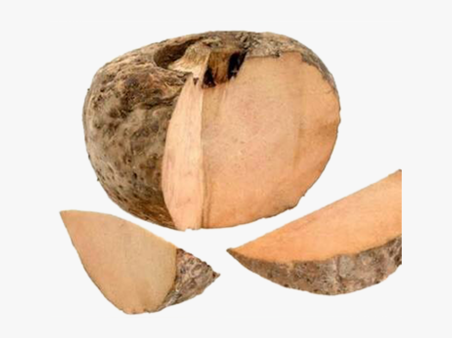 Elephant Yam - Elephant Root, Transparent Clipart
