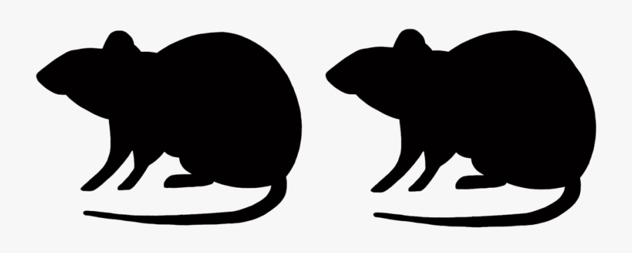 Yams Clipart, Transparent Clipart