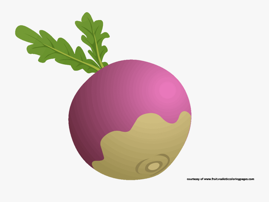 Beet Clipart Royalty Free - Sphere, Transparent Clipart