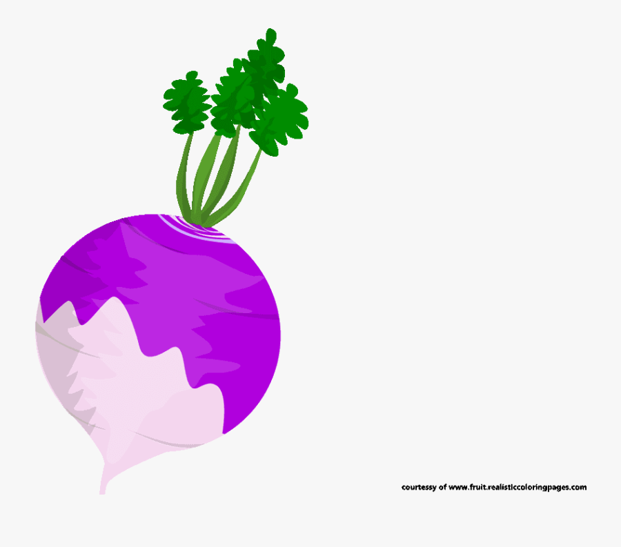 Beetroot Clipart - Illustration, Transparent Clipart