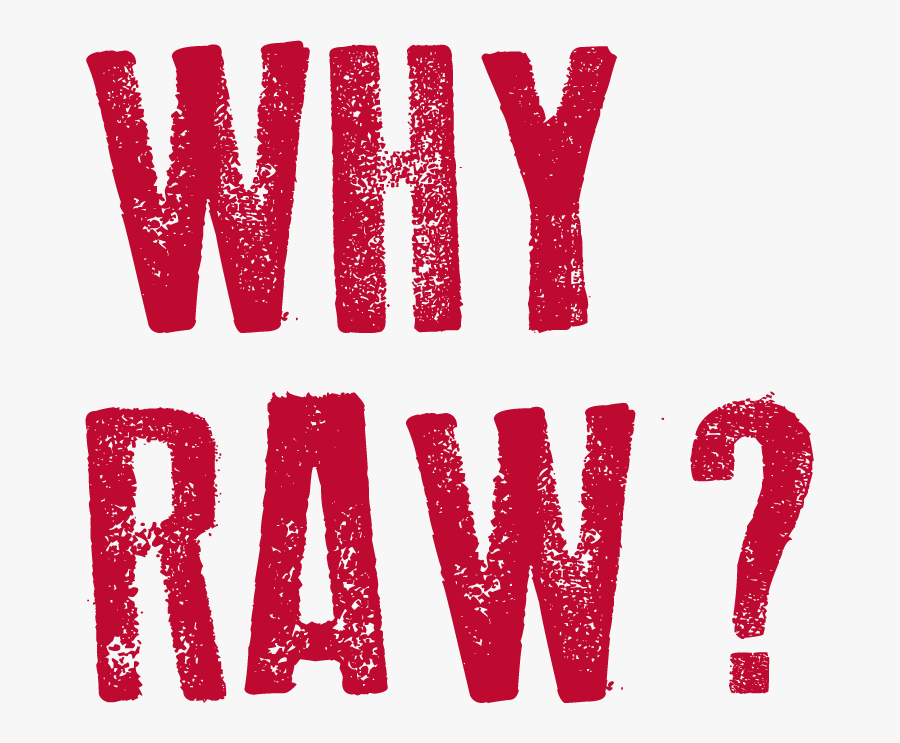 Food For Thought, Transparent Clipart