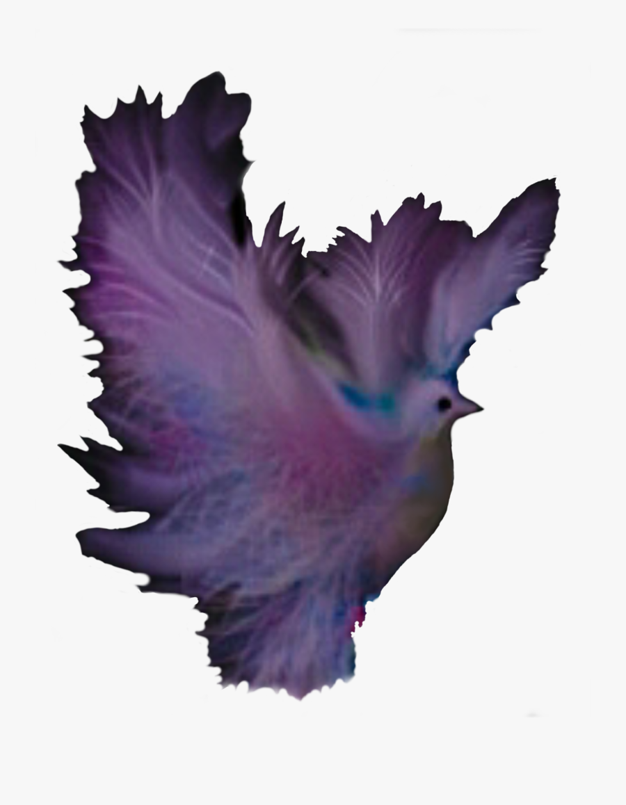 Computer Icons Fantasy Purple Color Feather - Pigeons And Doves, Transparent Clipart