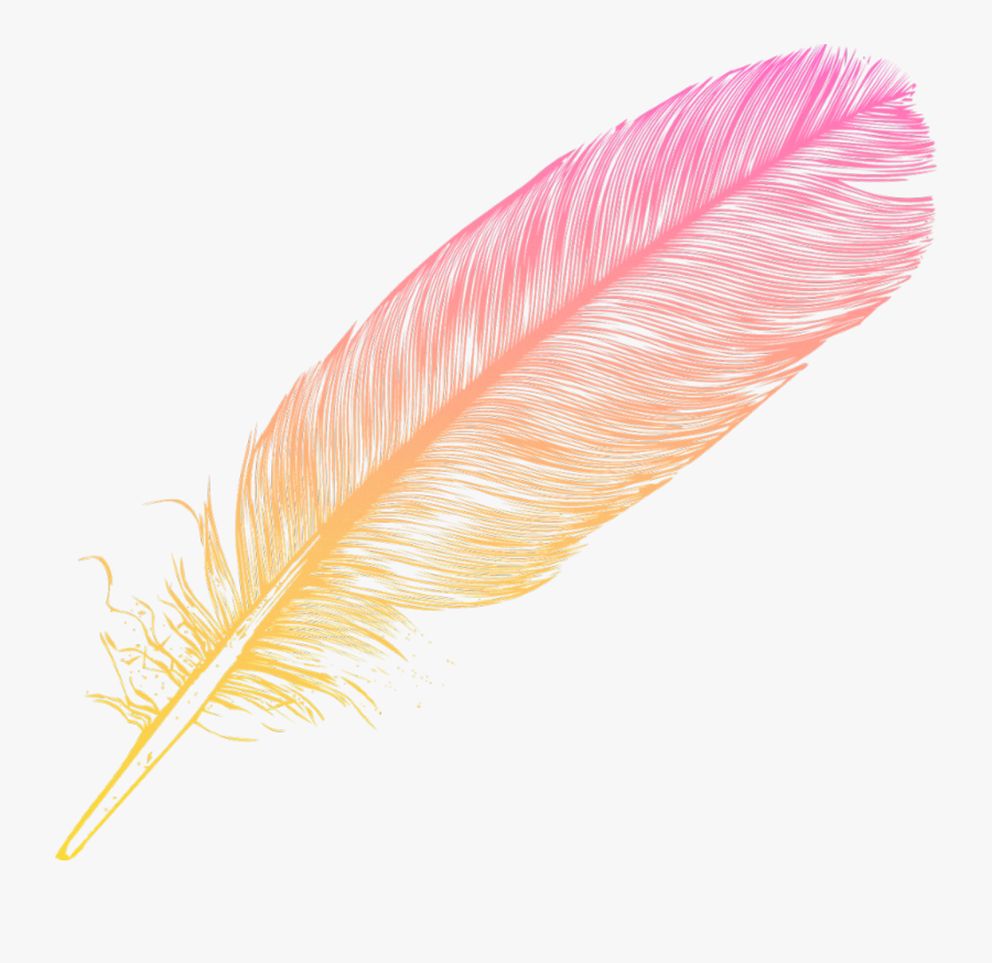 #ombre #feather #feathers #native #boho #pretty #decals - Oval, Transparent Clipart